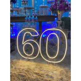 Número Neon Led 50cm Altura