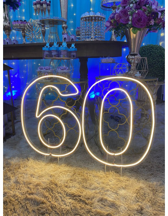 Número Neon Led 50cm Altura