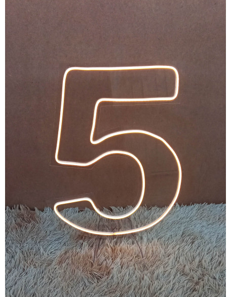 Número Neon Led 50cm Altura