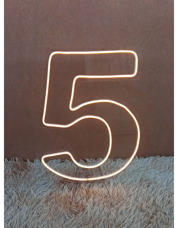 Número Neon Led 50cm Altura