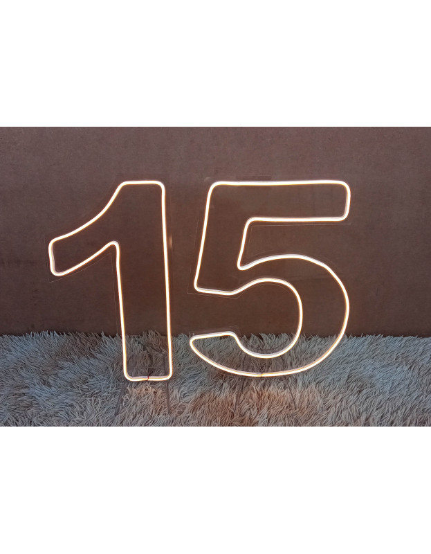 Número Neon Led 50cm Altura