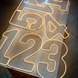 KIt Número Neon Led de 0 a 9 com 50cm Altura